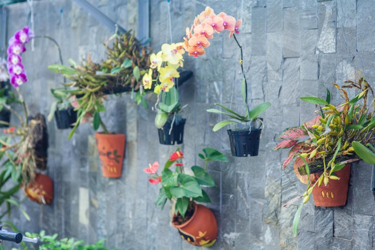 Flower Apartment Da Nang Eksteriør billede